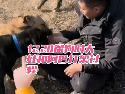 12.20直播,大娃和阿巴咬架过程,过程详情:大娃前天护农时腿部受伤,吴队稀罕大娃拽大娃的腿,给大娃拽疼了,大娃用嘴去咬吴队的手(大娃是用嘴轻轻戳的没真咬吴队),想让他放开他的腿,阿巴过来看看以为大娃咬吴队,就去咬大娃,阿巴也是忠心护主,大娃,阿巴都是好宝宝,都是吴队的心尖尖好宝宝。#西北刀客 #西北刀客大娃 #西北刀客阿巴 #西北刀客切片 @西北刀客-公益护农 @西北刀客-机油手 @西北刀客摄影-李 @西北刀客-吴队 @西北刀客-徐晒晒