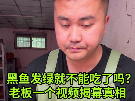 黑鱼发绿就不能吃了?老板一个视频揭幕真相#美食 #记录真实生活 #菜刀 #厨房好物