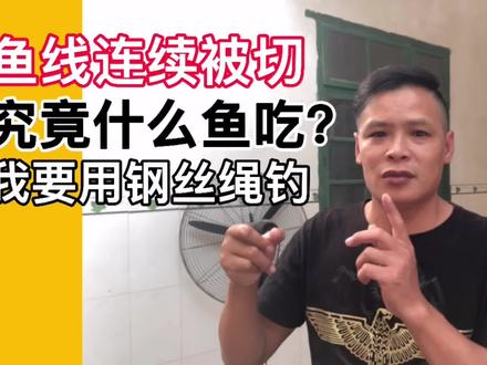 鱼塘里不知是什么鱼?切断了好多鱼钩,小何用钢丝绳才能抓住它
