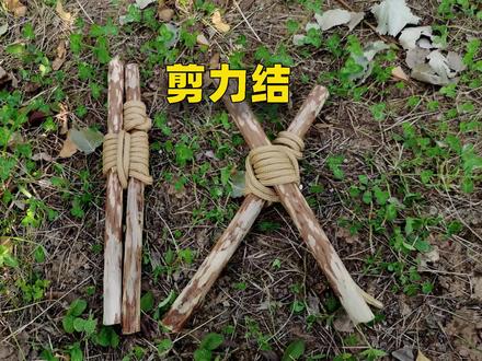 剪力结——修复受损木棍,及桌椅蹬腿,搭建晾晒、烧烤支架的一种实用绳结打法。本期视频介绍A型剪力结。#绳结打法 #户外