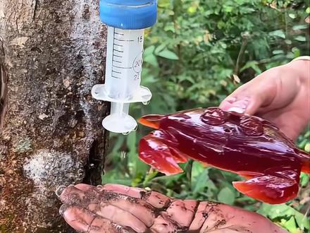 猜猜这是什么#户外小技巧#肥皂#制作肥皂#森林