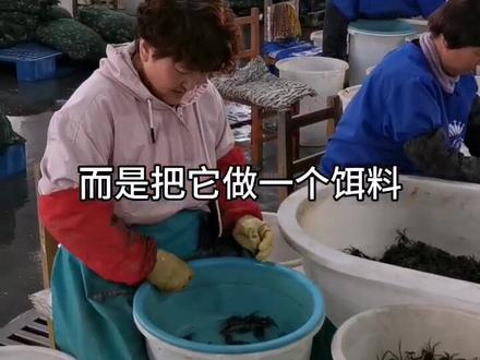 1斤100个扣蟹出口做啥?你知道河蟹1生蜕多少次壳?#农业 #海鲜 #螃蟹 #盘锦河蟹 @抖音小助手