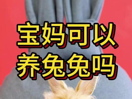 宝妈可以养兔兔吗?