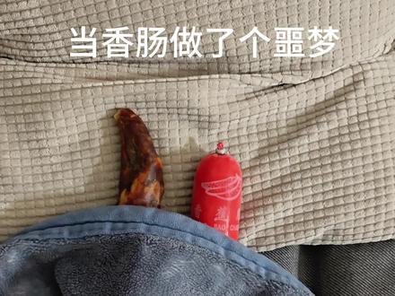 当香肠做了个噩梦 #当美食做了个噩梦 #当工具做了个噩梦 #抽象 #川味香肠 要像@乡野咸客腊味 老师那样切香肠哈