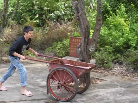 今天捡了几个王哥不要的牛肺 做凉拌做烟熏吃的可过瘾了#牛肺