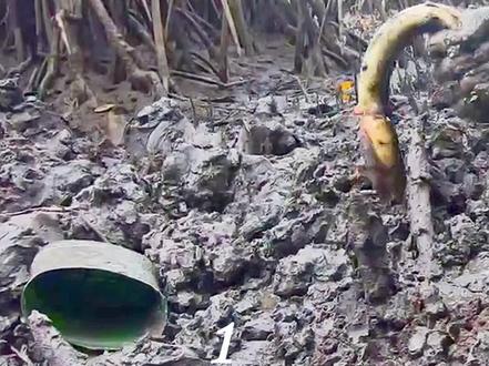 老渔民挖出2米深坑,只为抓到超级土龙,厉害了!#赶海 #户外捕鱼 #抓鱼 #捕鱼 #魚获满满 #野外生存 #荒野美食 #探秘