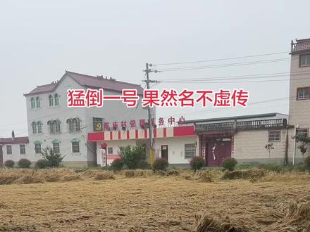 这是今年新品种 猛倒一号