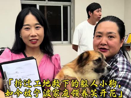 「拆迁工地救下的躲人小狗,如今被宁波家庭领养笑开花」 🐾【从拆迁废墟到温暖新家,这只爱笑的毛孩子终于等到了光!】
在拆迁工地上,第一次遇见点点时,它缩在瓦砾堆里,眼神里全是恐惧,见人就躲——或许是曾被伤害过,才把自己裹成了刺球。
但现在的它,会摇着尾巴扑进人怀里,眼睛笑成月牙儿,湿漉漉的鼻头总爱蹭着掌心撒娇。从警惕到依赖,基地里的每一顿饭、每一次抚摸,终于让它明白:“原来人类也可以是温柔的存在。”
昨天,宁波的领养家庭小心翼翼地给它戴上新项圈,点点乖乖跟着走的样子,让在场的志愿者红了眼眶。那些在废墟里瑟瑟发抖的日子,终于换成了有暖窝和爱的明天~
“谢谢你选择相信,也谢谢你让我们见证了治愈的力量❤️ 愿毛孩子在新家永远被偏爱,笑成最幸福的小傻瓜!”
✨ #领养代替购买 #流浪动物救助 #毛孩子的逆袭人生