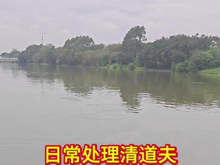 看一看你平时抓到清道夫是不是和我这样处理的?#生态保护#清道夫消灭计划 #三农流量扶持计划 #抖音二创激励计划