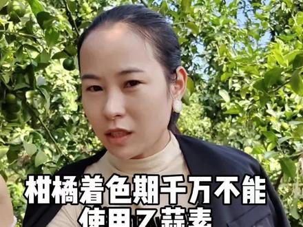 柑橘着色期千万不能使用乙蒜素#新农人计划2023 #抖音助农 #柑橘种植 #三农 #乙蒜素@抖音小助手