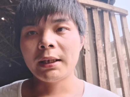 买牛从哪些方面来鉴别小牛长势好?看牛骨架还是看花色?别搞错了#牛犊 #肉牛养殖 #买牛 #西门塔尔牛