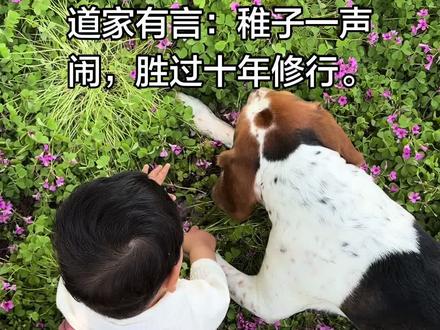 道家有言:稚子一声闹,胜过十年修行。
总嫌孩子拖沓磨蹭、哭闹任性、平添烦扰,殊不知这从来不是缠身业障,而是此生命中注定要跨过的修行关卡。
心性定力不足、脾气难以自持的人,无缘与这份缘分相逢。能来到你身边的孩子,皆是淬炼心性最好的灵丹。
他慢悠悠的性子,磨去你的浮躁急躁,帮你抚平心绪戾气;
他偶尔的调皮惹恼,照见你心底深藏的执念与棱角。
哪怕你一时失控厉声斥责,他转眼便能释怀欢笑。这份纯粹坦荡,亦是教会你何为包容释怀、放下心结。
不必远赴古寺焚香祈福,此生最珍贵的机缘与神明,一直安坐家中。
忍住一句脱口而出的狠话,便是诚心敬献一炷清香;
收起焦躁冷硬的神色,温柔相待孩童,便是破除自身最难割舍的执念。
养育从来不是单方面的付出与成全,而是一场双向成全的修行。
孩子以澄澈天真的童年相伴,陪着我们褪去锋芒、解开人生困局。
我们总以为,是自己倾尽心力渡孩子成长,到最后才恍然明白,
原来真正彼此成全、互相救赎的,从来都是孩子渡我们圆满一生。#小孩与狗 #在大自然里养出治愈系宝宝 #抖音记录成长 #育儿育己 #亲子时光