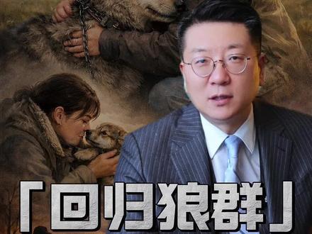 重返狼群 李微漪格林背后深度解析#重返狼群 #格林 #李微漪 #若尔盖大草原 #成都