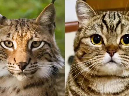 #头像#微信#吵架#抬杠#符合精神状态的搞怪头像 @抖音小助手 @抖音创作者中心