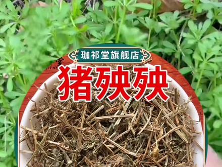 猪殃殃#中药材#@DOU+小助手