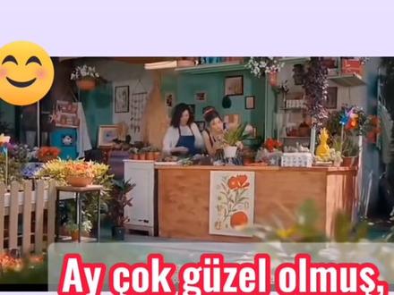 土耳其语学习,快来学习吧~#土耳其 #土耳其语#土耳其旅行