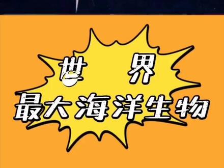 世界海洋生物你知道什么最大吗?喜欢的点赞关注感谢🙏支持#海洋 #海底世界 #科普知识 #动物 @巨量千川 @创作灵感小助手 @全民任务小助手