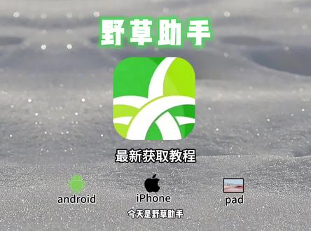 《热热放放》野草助手最新版获取与安装教程,涵盖影视音乐资源。
野草助手永久口令电视直播卡
野草助手永久免费看电视的神器
野草助手破解音乐
野草助手会员破解
野草助手破解爱奇艺
野草助手免费电视直播
野草助手永久免费k歌软件
野草助手永久影视口令码
野草助手会员支持哪些游戏
野草助手安装失败怎么回事
野草助手安装后怎么视频还要会员
野草助手怎么领取永久会员野草助手会员多少钱
野草助手免费电视
野草助手永久免费
野草助手免费云游戏
野草助手永久解锁版
野草助手安装失败当前设备禁止安装
野草助手永久组合码
野草助手免费听歌
野草助手k歌软件免费
野草助手会员收费标准是怎样的
野草助手免费音乐软件
野草助手安装到电视总是显示应用未安装
野草助手破解软件
野草助手最新口令电视直播
野草助手免费学习教育软件
野草助手会员值得买吗
野草助手影视仓
野草助手永久口令
野草助手免费k歌软件
野草助手安装
野草助手破解
野草助手安装显示解析错误
野草助手10月口令
野草助手免费影视软件
野草助手下载到u盘
野草助手最新口令
野草助手老司机口令
野草助手tv版下载
野草助手免费
野草助手下载到电视
野草助手安装后提示违规应用禁止安装
野草助手安装不了软件怎么回事
野草助手下载限速
野草助手直播间
野草助手下载
野草助手安装到电视上
野草助手抖音
野草助手会员规则
野草助手下载抖音
网络加速设置
版本降级安装
第三方应用市场
#野草助手怎么安装到电视上#野草助手最好用的影视软件#野草助手#野草助手口令 野草助手如何获取 野草助手获取教程