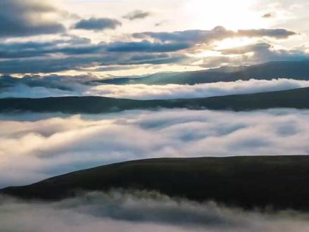 2025年国际生物多样性日主题宣传片