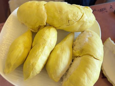 山姆榴莲XL款199.9开箱!开出5房重量居然高达4.7kg #山姆榴莲 #山姆榴莲盲盒 #山姆 #逛山姆 #山姆会员店