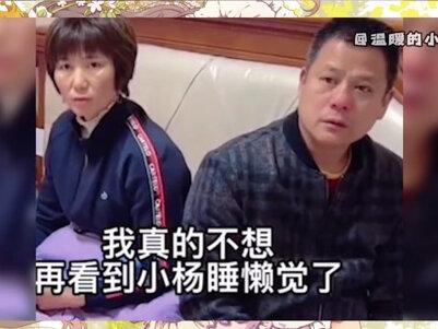 大杨嫂与小杨嫂的家庭帝位,这地位真的不容小觑,笑不活了#搞笑 #家庭地位 #我要上热门 #疯狂小杨哥