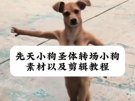 模版自带着抽到小狗特效,自带后半段小狗素材~
#先天小狗圣体转场小狗 #先天小狗圣体 #先天小狗圣体特效教程 #剪映 #你是什么先天圣体 先天小狗圣体转场小狗素材 先天小狗圣体转场小狗怎么剪辑 先天小狗圣体转场小狗怎么拍 先天小狗圣体转场小狗手势舞 先天小狗圣体转场小狗剪映 先天小狗圣体转场小狗打拳ai生成 先天小狗圣体转场小狗剪辑模板 先天小狗圣体转场小狗特效 先天小狗圣体转场小狗视频 先天小狗圣体转场小狗剪辑模板分享 先天小狗圣体转场小狗剪辑教程 先天圣体转场特效怎么拍 先天篮球圣体先天剪辑胜体 你是什么先天圣体转场怎么做 你是什么先天圣体转场小狗 你是什么先天圣体转场小狗原图 你是什么先天圣体转场小狗舔嘴 你是什么先天圣体转场小狗教程 先天小狗圣体特效变狗素材 你是什么先天圣体怎么抽到小狗 你是什么先天圣体转场小狗 先天小狗圣体转场小狗怎么剪 先天小狗圣体转场小狗剪映 先天小狗圣体转场小狗原视频 小狗打拳原视频 小狗圣体后半段小狗特效 小狗圣体后半段素材 小狗圣体后半段小狗 小狗圣体转场怎么拍 先天小狗圣体转场小狗素材 小狗圣体后半段小狗表情包 小狗圣体小狗素材