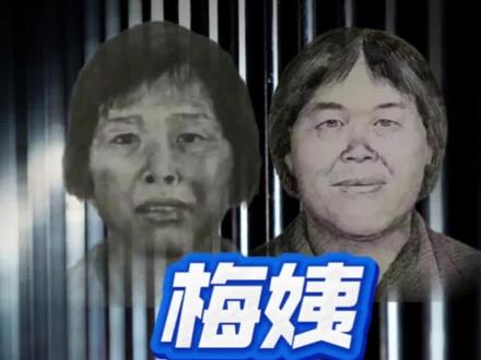 人贩子“梅姨”终于落网了#正能量 #正义 #人贩子 #梅姨 #打拐