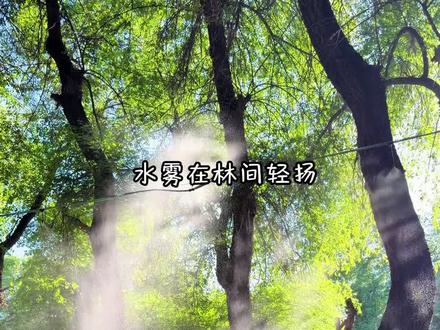 乌鲁木齐露营爱好者看这里!!!太绝了! #露营美食推荐 #户外野餐之约 #赴一场露营约⛰️太开心了 #夏日露营地推荐