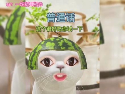 #重庆话 懂了!!以后碰到帅哥直接问:耍不耍