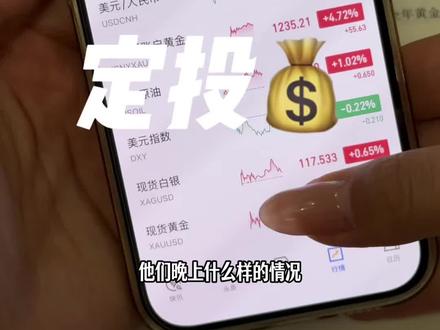 今天又学会了看夜盘,不错不错,再等一个时机,我要加仓!#黄金 #基金