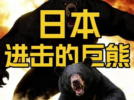 日本!进击的巨熊🐻 #海底青年 #日本熊灾 #日本
