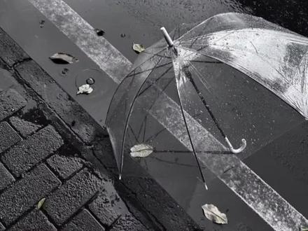 「我才不要只当金丝雀!」第二集#桂瑞 #张桂源张函瑞 #桂瑞真情侣 #桂瑞cp #安利