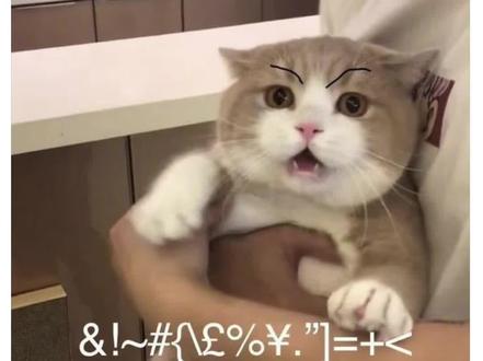 不可以!❌哒咩!❌
#留学生 #留学日常