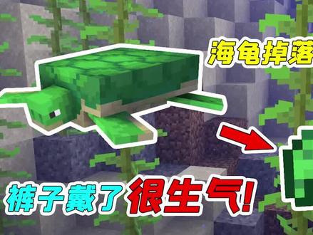 MC盘点07:海龟被雷劈会变成木碗?海龟长大竟能掉绿色的帽子 #我的世界