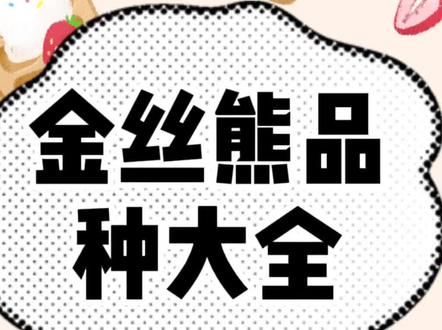 金丝熊品种大全#金丝熊 #仓鼠