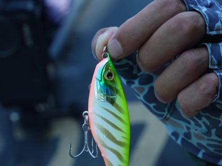 拖拉机声音诱鱼 #作钓 #路亚 #硬饵