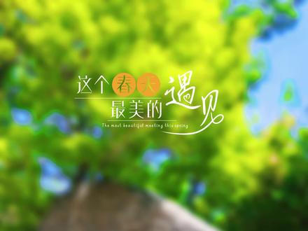 济南独一份的山水浪漫💚
一半烟火济南,一半水墨华山