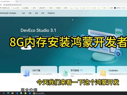 8G内存安装鸿蒙开发者工具 卒卒卒卒卒