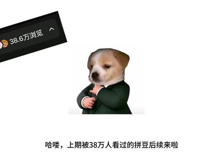 拼豆后续来啦!!!#拼豆 #拼豆豆 #拼豆图纸 #拼豆教程