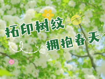 拓印树纹 拥抱春天 大自然的秘密藏在纹路里!宝贝们用蜡笔把大树的“皮肤”印在纸上,每一道纹路都是春天的小秘密。