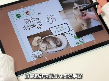 OPPO平板选购指南|怎么选看这一篇就够了!#oppo平板 #oppopad6 #oppopad5pro #oppopadmini #安卓平板