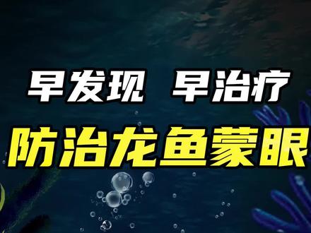 龙鱼蒙眼防治秘诀,鱼友们还有什么好的方法,欢迎留言评论#龙鱼蒙眼 #龙鱼 #观赏鱼 #鱼缸 #水族