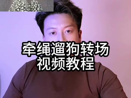 你们要的牵绳遛狗转场视频教程来了,赶快学起来!#剪辑教程 #剪映