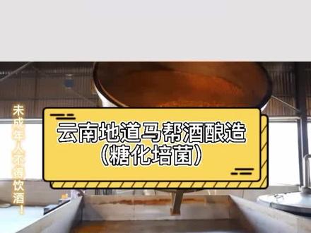 #糖化培菌#这种工艺酿出地道云南美酒!