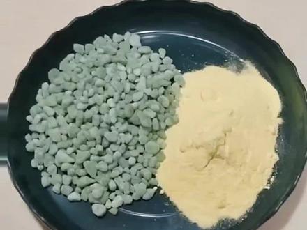 今天给蓝莓上点硫酸亚铁和硫磺粉调节一下土壤的酸碱度。蓝莓对土壤的酸碱度要求比较高,要求PH值在4.5-5.5之间。#蓝莓 #蓝莓种植 #盆栽果树 #蓝莓苗 #种植小技巧