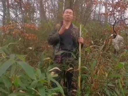 失温是户外第一致死因素,很多人没意识到控制体温这个细节,等失温的时候悲剧就发生了,无法挽回,这样的悲剧例子太多了。如果在高山上,像我这种湿透情况,一阵大风可能在十分钟内让你丧失行动能力,户外有各种未知因素#失温 #荒野求生