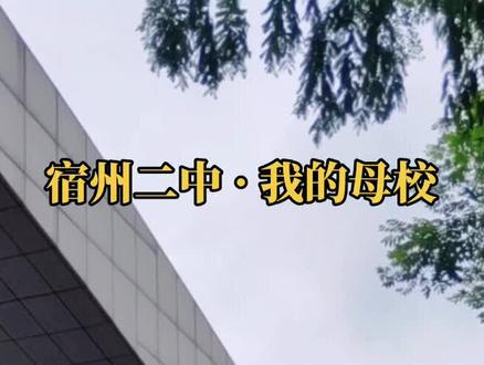 宿州二中,前身为崇真私立中学,1940年由意大利人创建,建国后政府接管,现为迁址重建。#安徽 #抖音小助手
