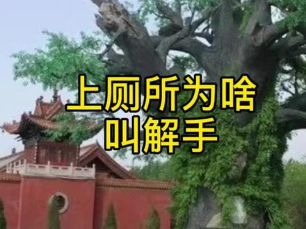 上厕所为啥叫解手,你还知道哪些关于大槐树移民的传说故事#解手 #大槐树移民 #大槐树 #民族融合 #旅行大玩家 #我为家乡代言 #抖音小助手 @王鹏宇(快走旅游)