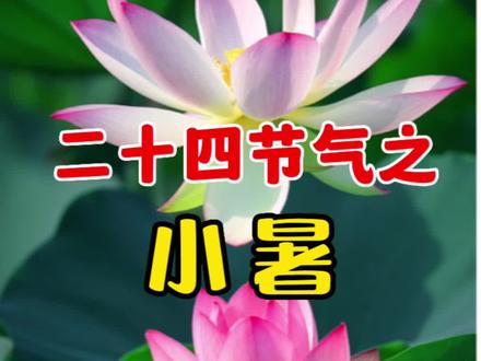 一起看看关于小暑的农谚准不准#小暑 #二十四节气 #农谚 #三农 #关注我每天分享小常识