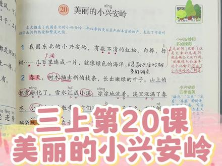 三年级上册第20课《美丽的小兴安岭》课文讲解#语文 #小学 #三年级#知识点总结 #课堂笔记